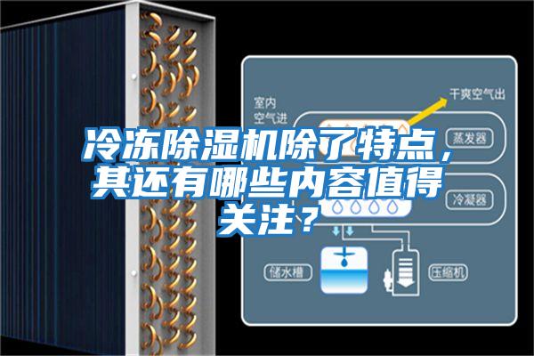 冷凍除濕機除了特點，其還有哪些內容值得關注？