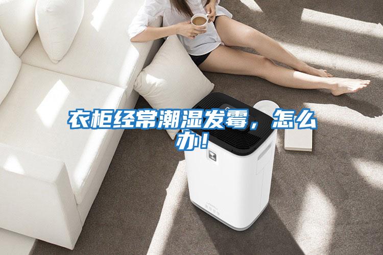 衣柜經(jīng)常潮濕發(fā)霉，怎么辦！