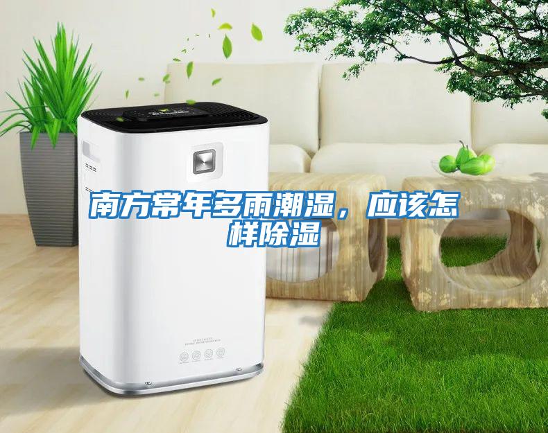 南方常年多雨潮濕，應該怎樣除濕
