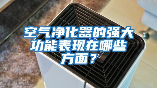 空氣凈化器的強大功能表現在哪些方面？