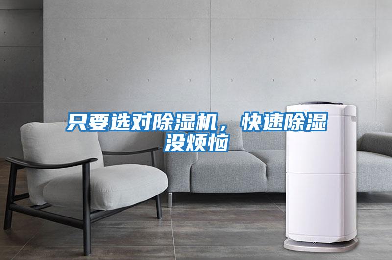 只要選對除濕機，快速除濕沒煩惱