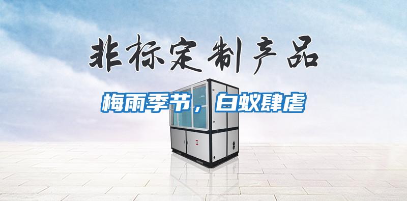 梅雨季節，白蟻肆虐