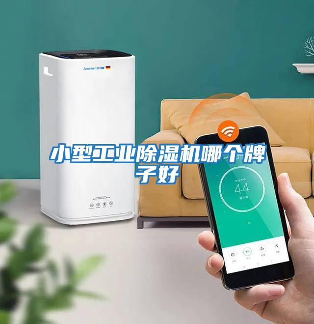 小型工業除濕機哪個牌子好