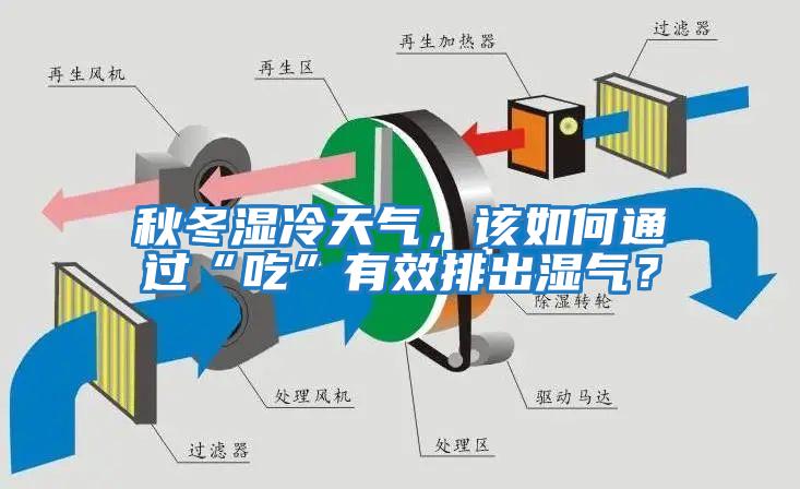 秋冬濕冷天氣，該如何通過“吃”有效排出濕氣？