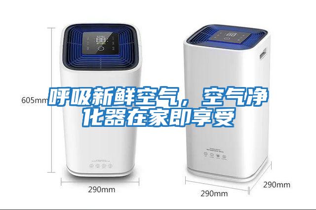 呼吸新鮮空氣,空氣凈化器在家即享受