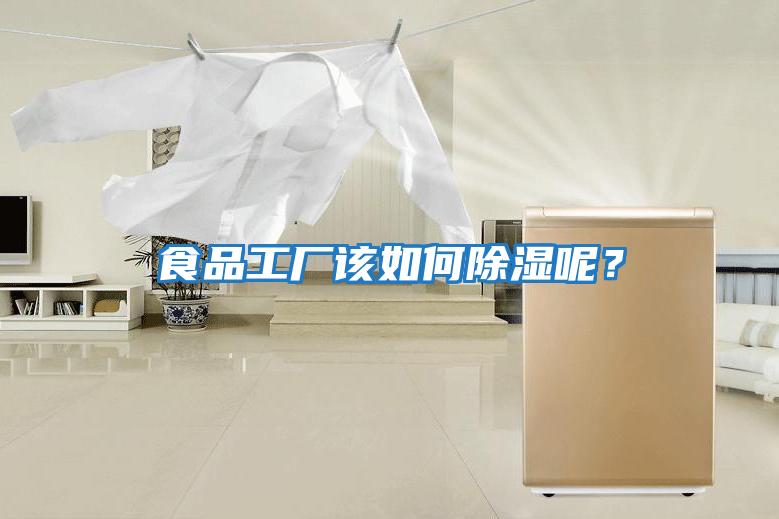 食品工廠該如何除濕呢？
