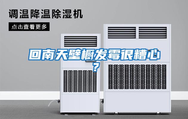 回南天壁櫥發(fā)霉很糟心？