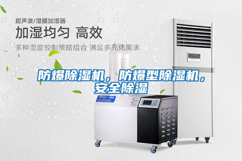防爆除濕機,防爆型除濕機,安全除濕
