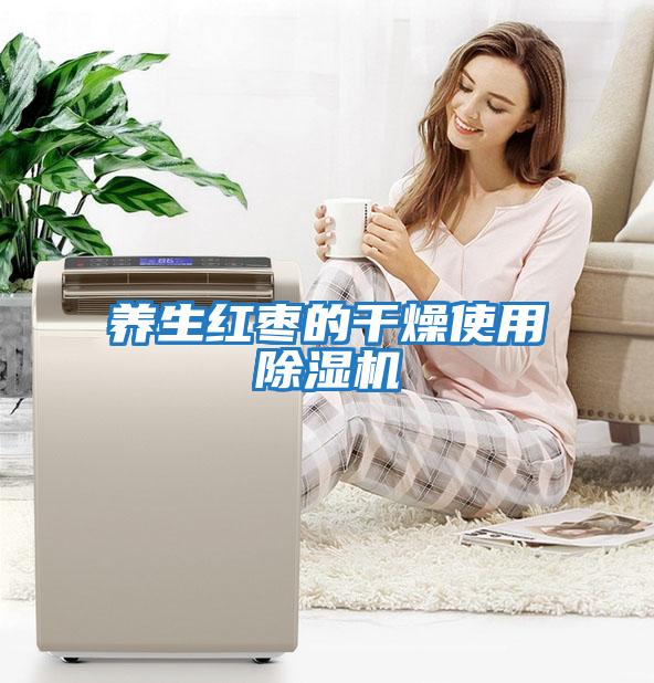 養生紅棗的干燥使用除濕機
