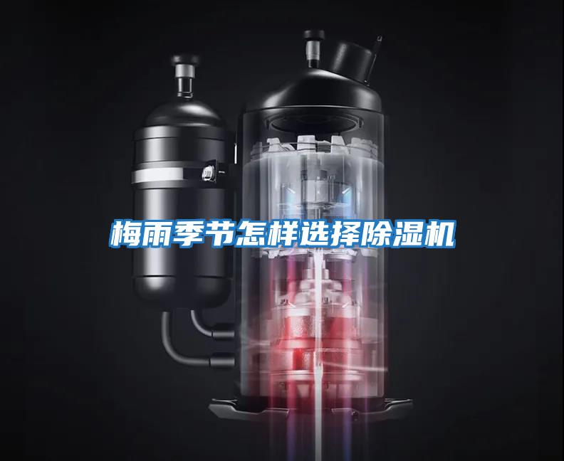 梅雨季節怎樣選擇除濕機