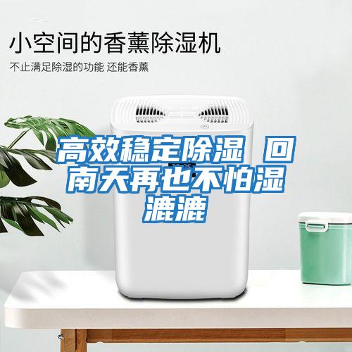 高效穩定除濕 回南天再也不怕濕漉漉