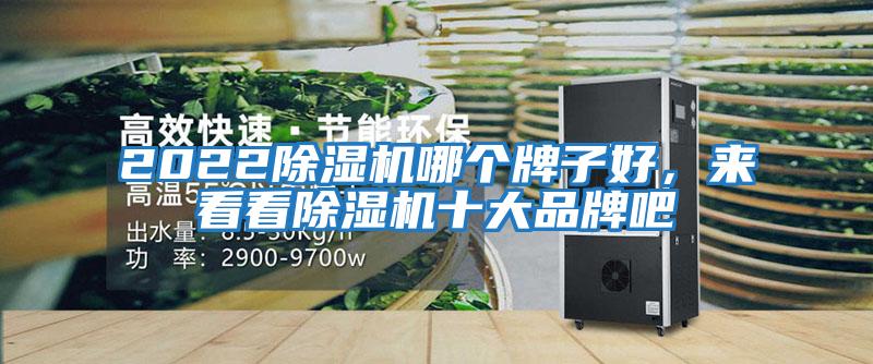 2022除濕機哪個牌子好，來看看除濕機十大品牌吧
