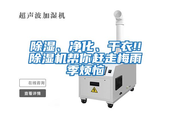 除濕、凈化、干衣!!除濕機幫你趕走梅雨季煩惱