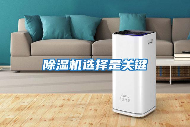 除濕機選擇是關鍵