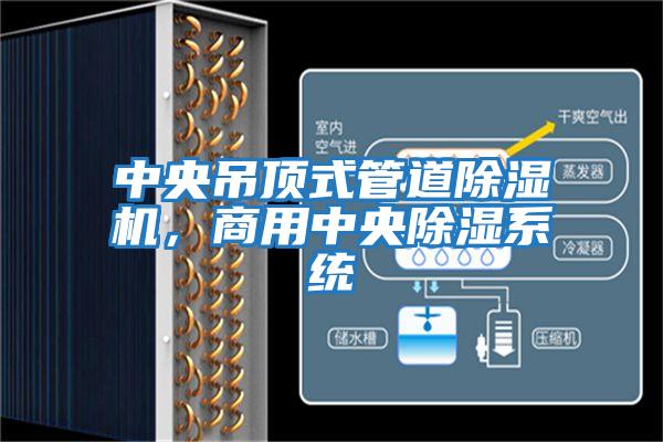 中央吊頂式管道除濕機，商用中央除濕系統