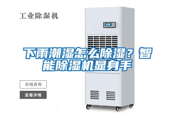 下雨潮濕怎么除濕？智能除濕機顯身手