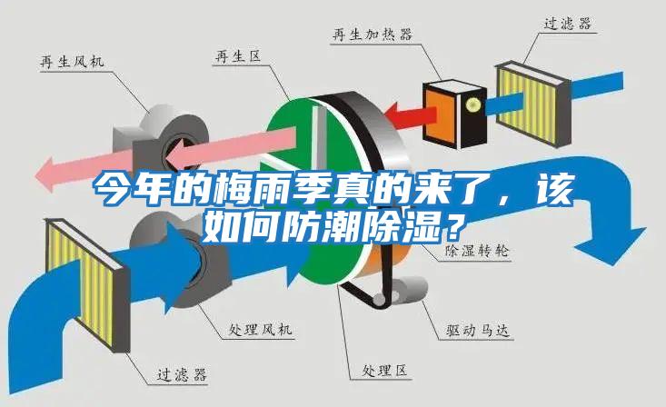 今年的梅雨季真的來(lái)了，該如何防潮除濕？