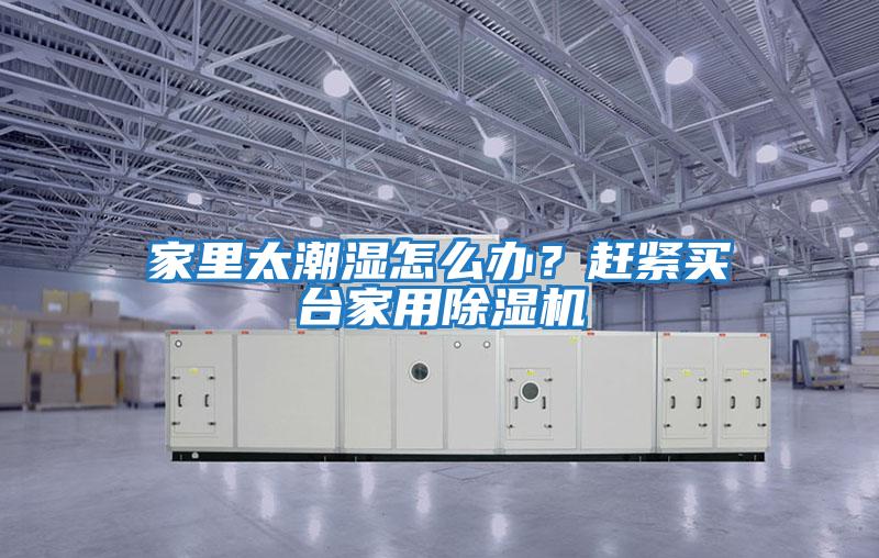 家里太潮濕怎么辦？趕緊買臺家用除濕機
