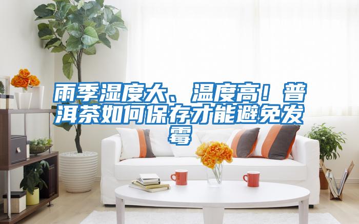 雨季濕度大、溫度高！普洱茶如何保存才能避免發霉