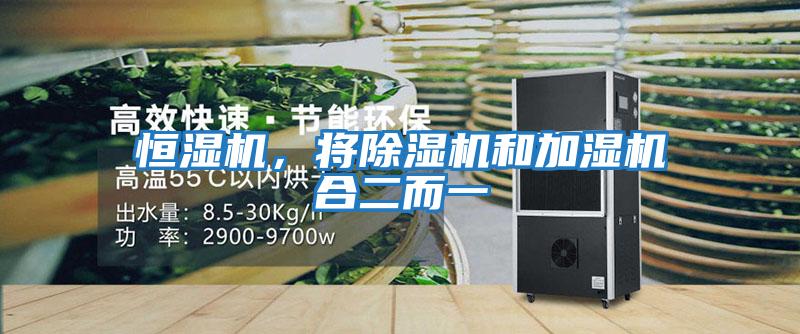 恒濕機，將除濕機和加濕機合二而一
