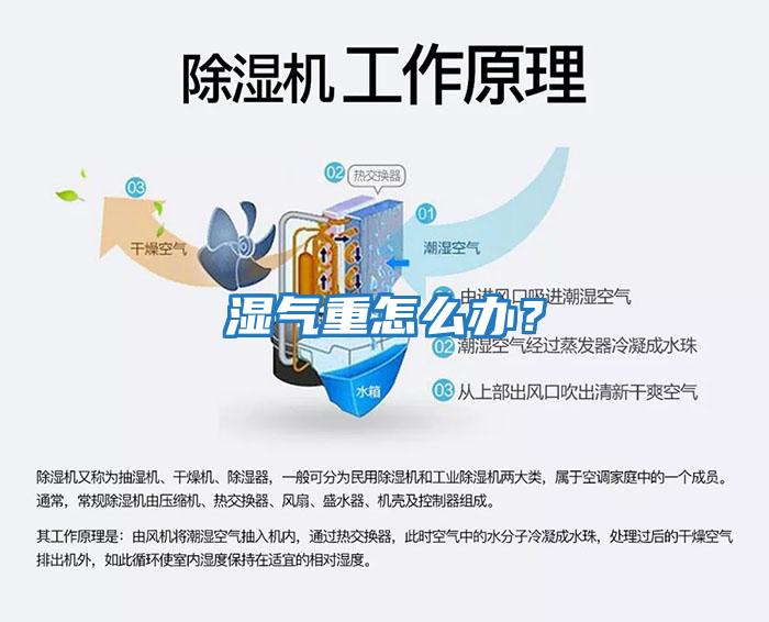 濕氣重怎么辦？