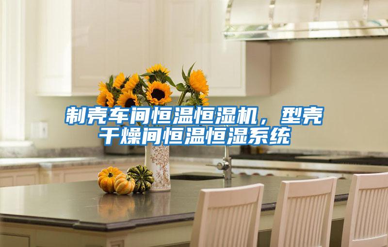 制殼車間恒溫恒濕機，型殼干燥間恒溫恒濕系統