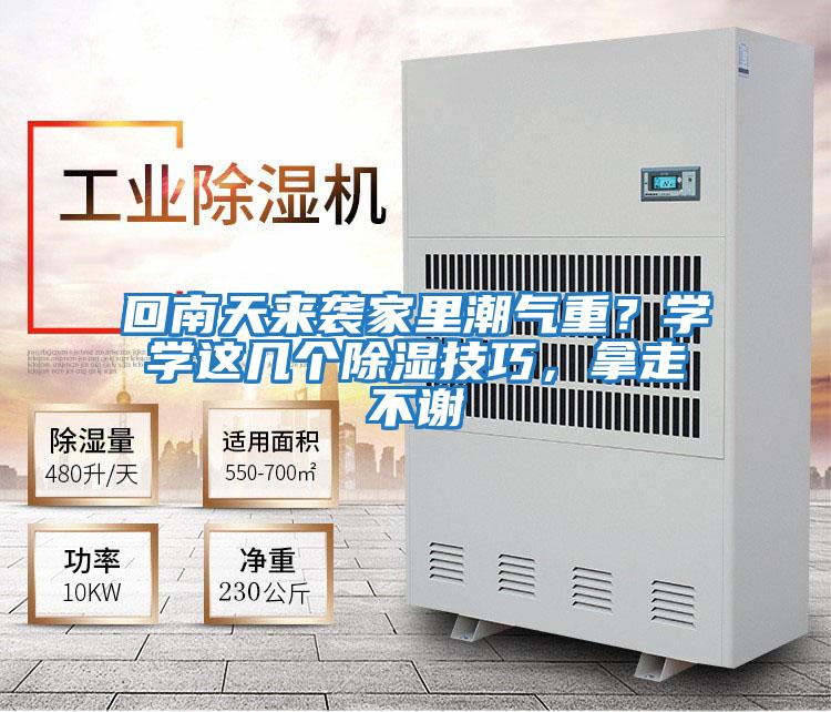 回南天來襲家里潮氣重？學學這幾個除濕技巧，拿走不謝