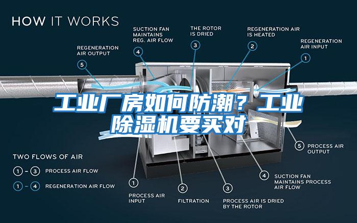 工業廠房如何防潮？工業除濕機要買對