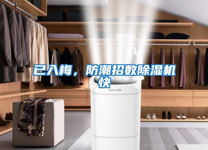 已入梅，防潮招數除濕機快