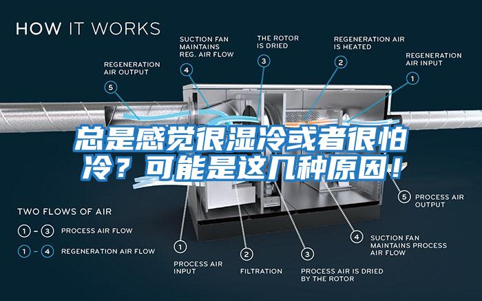 總是感覺很濕冷或者很怕冷？可能是這幾種原因！
