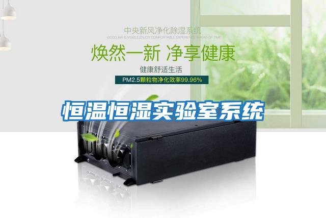 恒溫恒濕實驗室系統