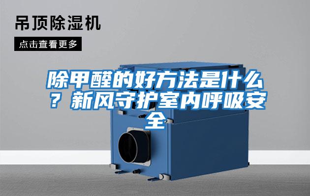 除甲醛的好方法是什么？新風守護室內呼吸安全