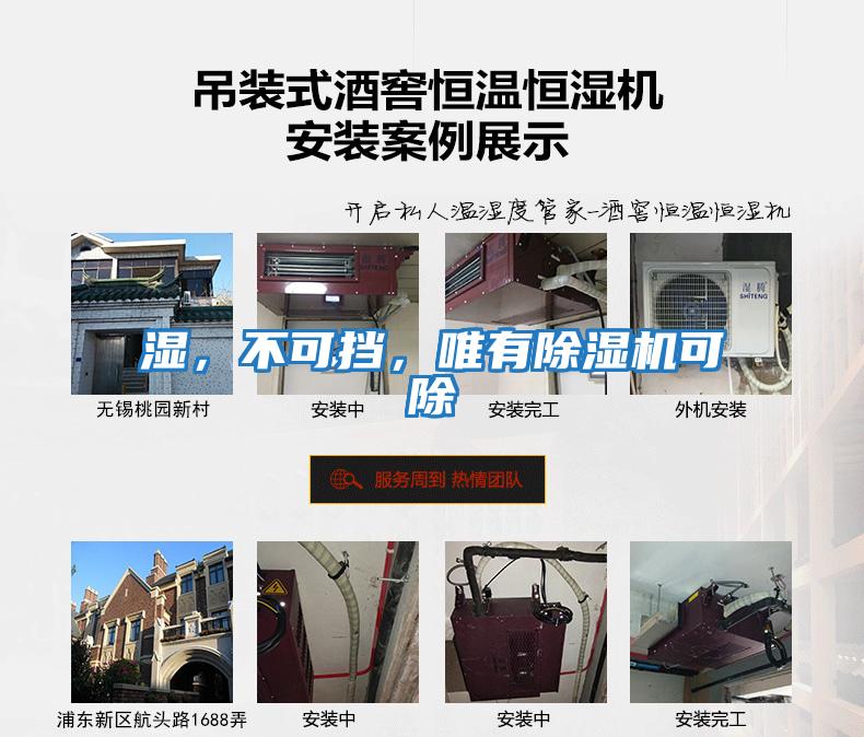 濕，不可擋，唯有除濕機可除