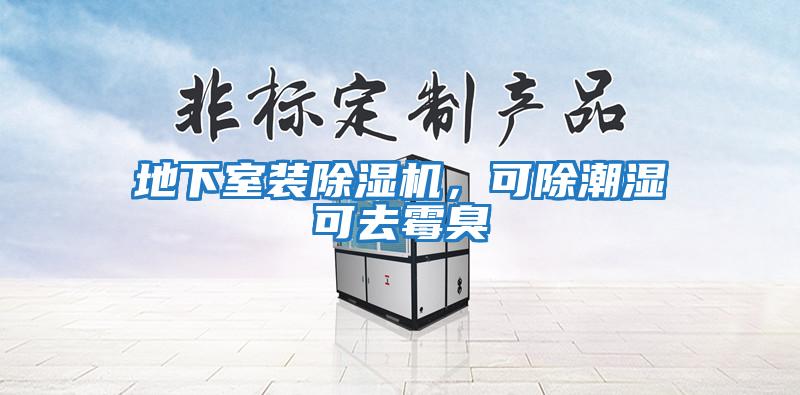 地下室裝除濕機，可除潮濕可去霉臭