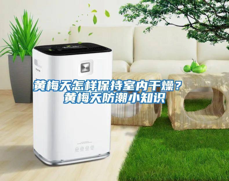 黃梅天怎樣保持室內干燥？ 黃梅天防潮小知識