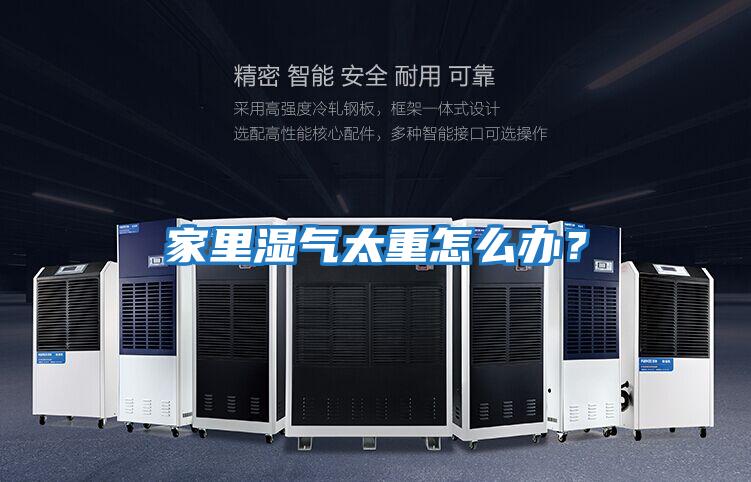 家里濕氣太重怎么辦？