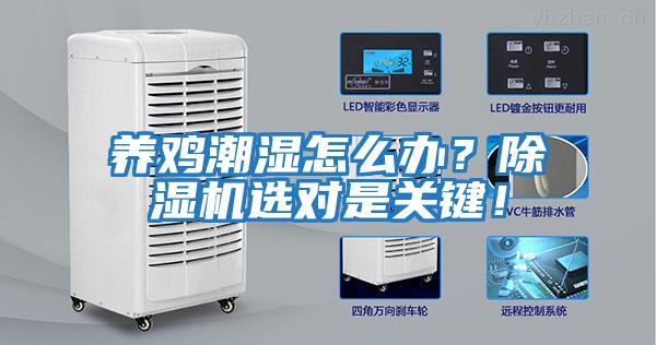 養雞潮濕怎么辦？除濕機選對是關鍵！
