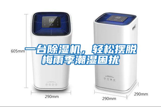 一臺除濕機，輕松擺脫梅雨季潮濕困擾