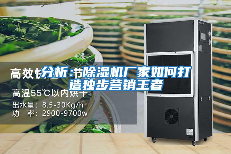 分析:除濕機廠家如何打造獨步營銷王者