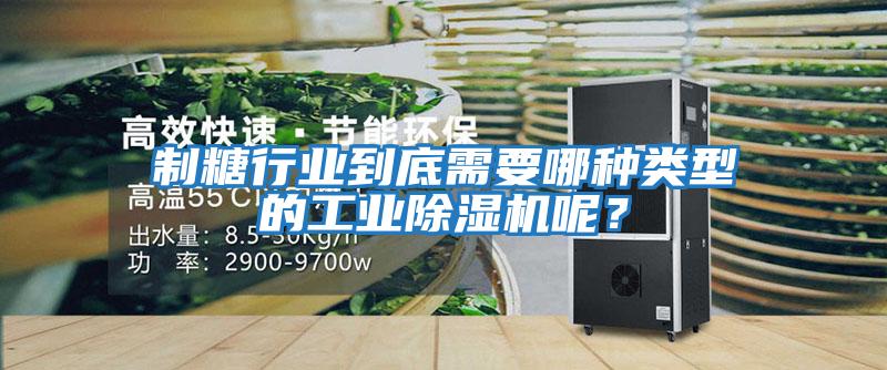 制糖行業到底需要哪種類型的工業除濕機呢?