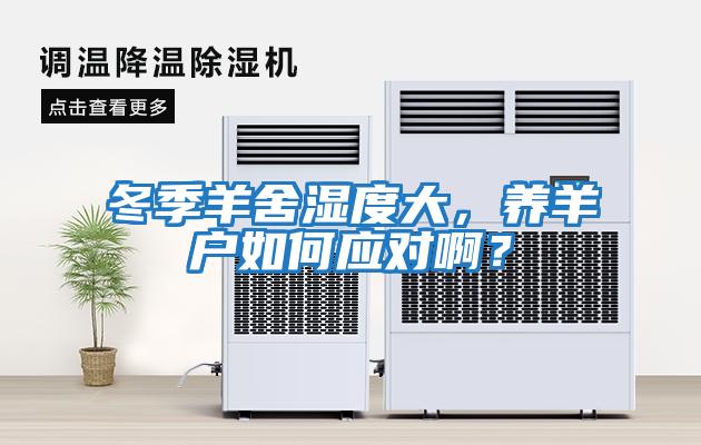 冬季羊舍濕度大，養羊戶如何應對啊？