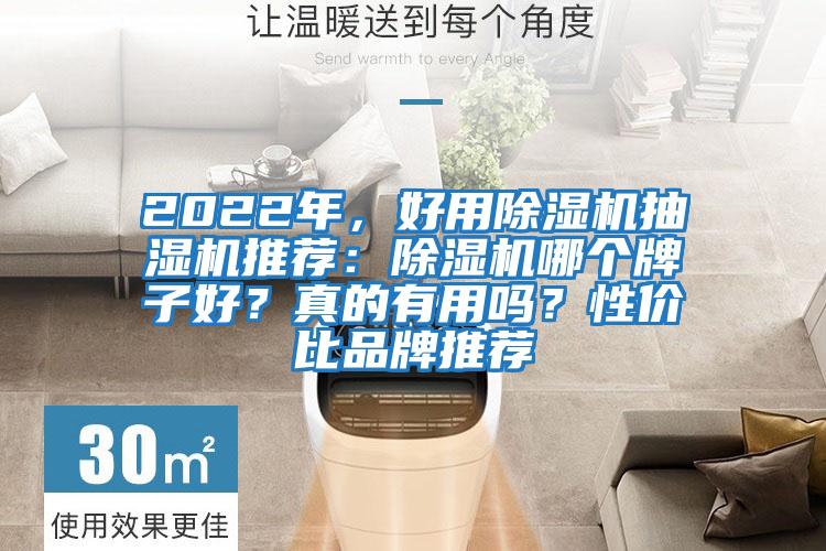 2022年，好用除濕機(jī)抽濕機(jī)推薦：除濕機(jī)哪個(gè)牌子好？真的有用嗎？性價(jià)比品牌推薦