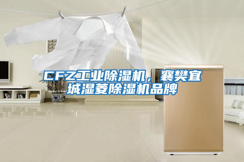 CFZ工業除濕機，襄樊宜城濕菱除濕機品牌