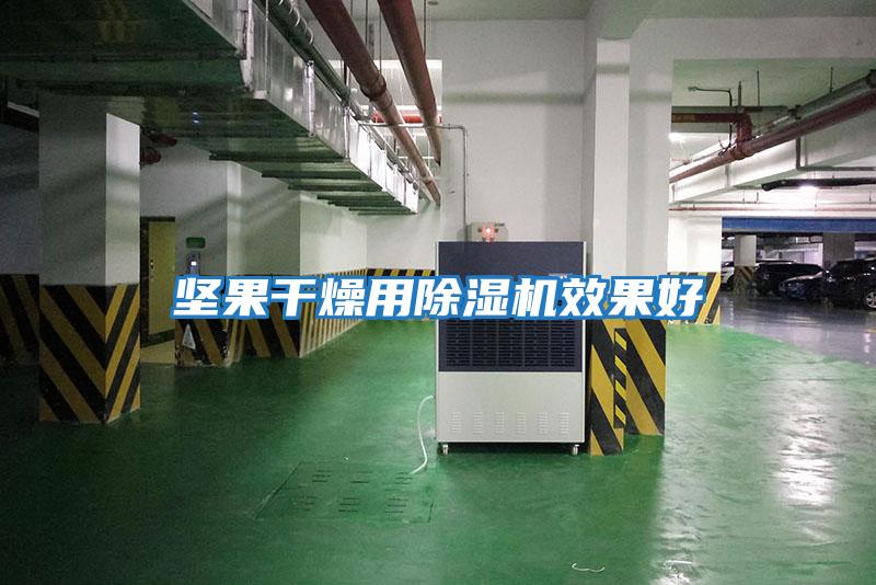 堅果干燥用除濕機(jī)效果好