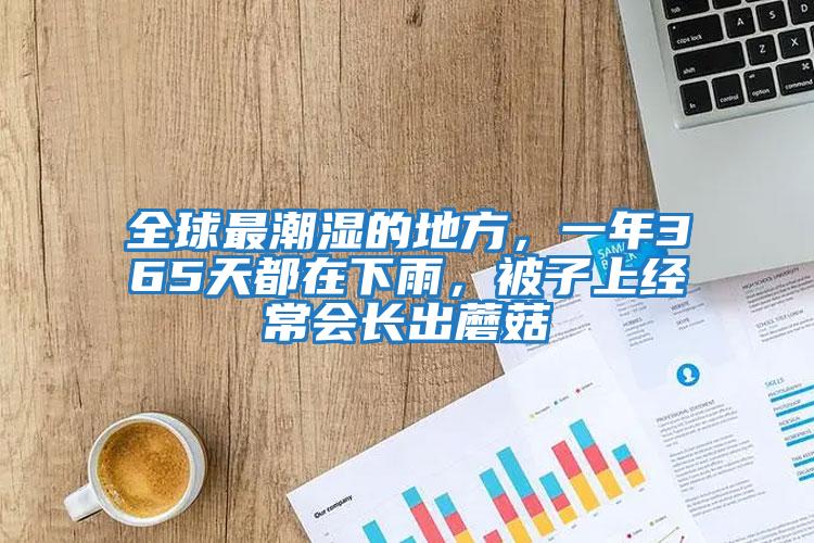 全球最潮濕的地方，一年365天都在下雨，被子上經常會長出蘑菇