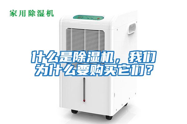 什么是除濕機(jī)，我們?yōu)槭裁匆徺I它們？