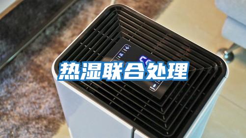 熱濕聯合處理