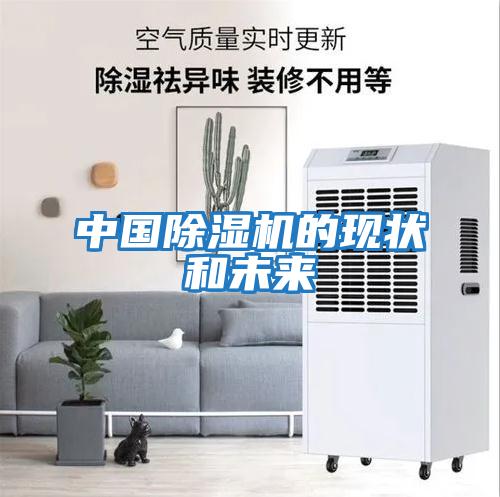 中國除濕機的現狀和未來