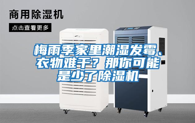 梅雨季家里潮濕發霉、衣物難干？那你可能是少了除濕機