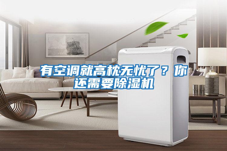 有空調就高枕無憂了？你還需要除濕機